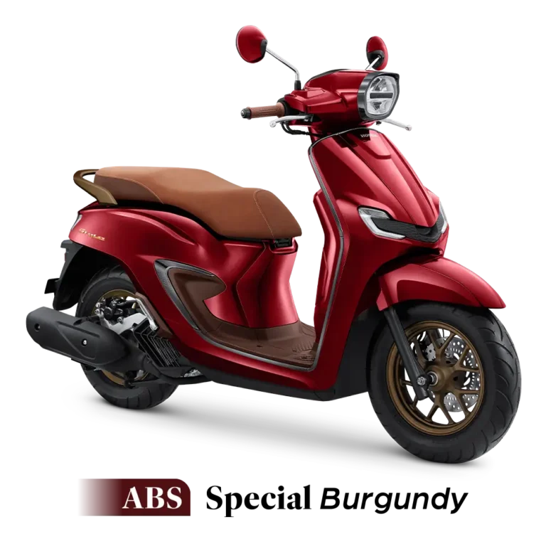 Stylo 160 Spesial Burgundy